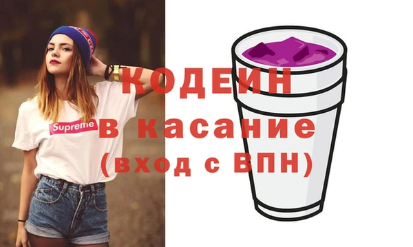 индика Баксан